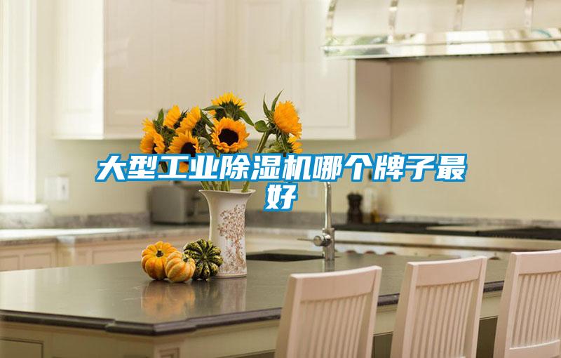 大型工業(yè)除濕機哪個(gè)牌子最好
