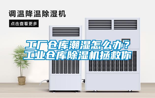 工廠(chǎng)倉庫潮濕怎么辦？工業(yè)倉庫除濕機拯救你