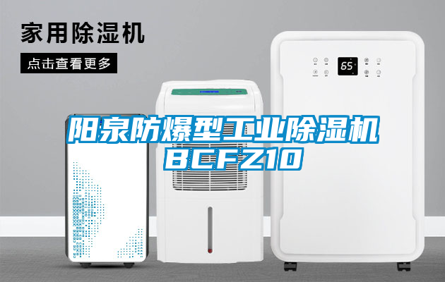 陽(yáng)泉防爆型工業(yè)除濕機 BCFZ10