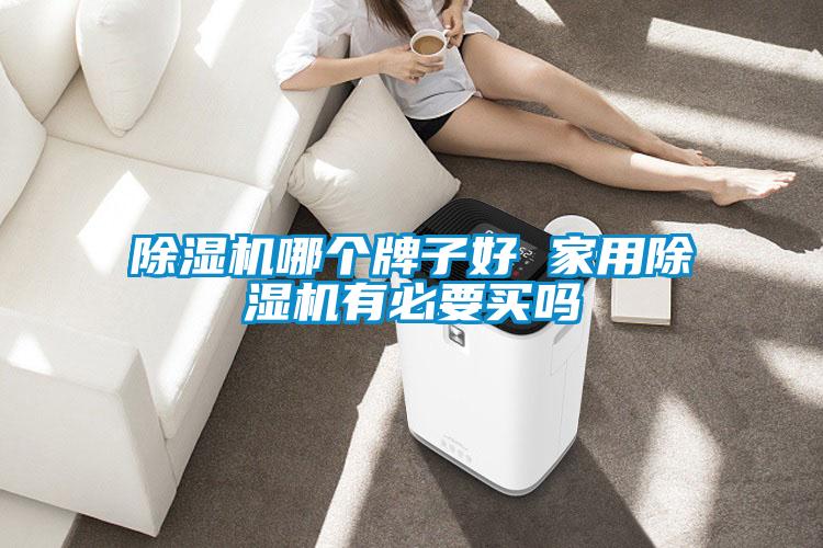 除濕機哪個(gè)牌子好 家用除濕機有必要買(mǎi)嗎