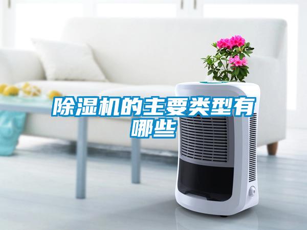 除濕機的主要類(lèi)型有哪些
