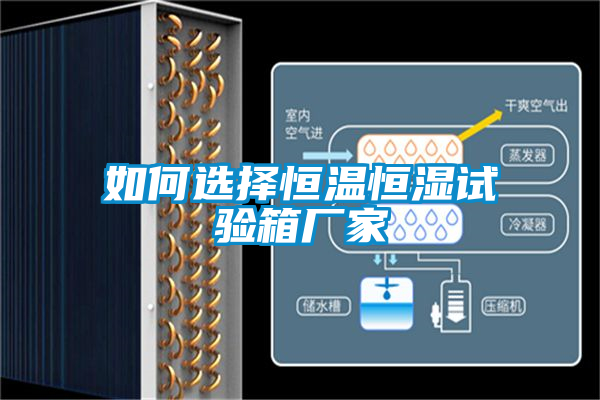 如何選擇恒溫恒濕試驗箱廠(chǎng)家