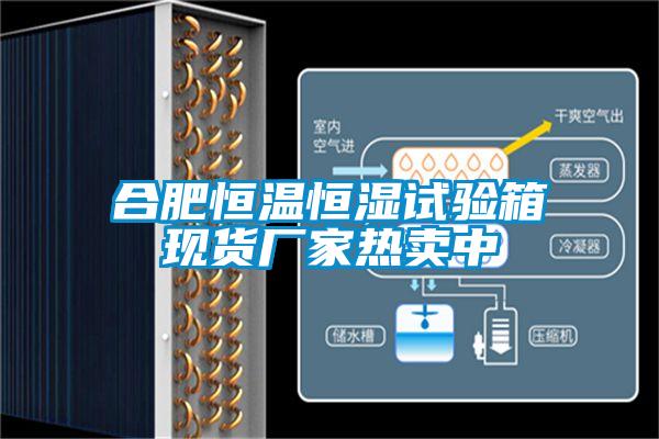 合肥恒溫恒濕試驗箱現貨廠(chǎng)家熱賣(mài)中