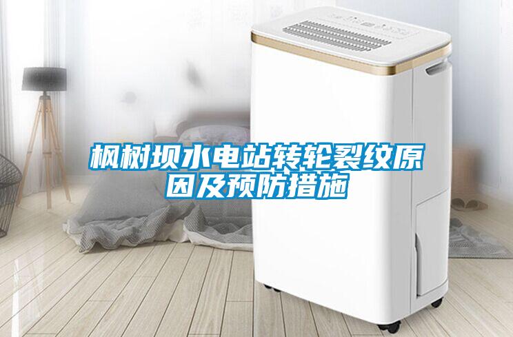 楓樹(shù)壩水電站轉輪裂紋原因及預防措施