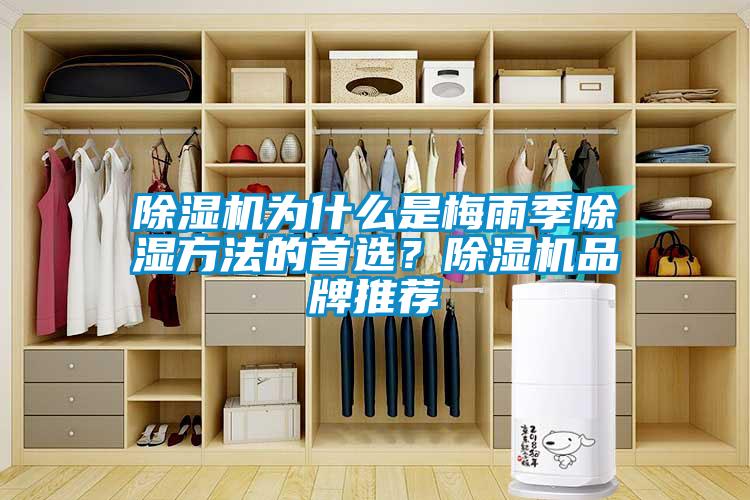 除濕機為什么是梅雨季除濕方法的首選？除濕機品牌推薦
