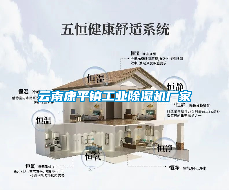 云南康平鎮工業(yè)除濕機廠(chǎng)家