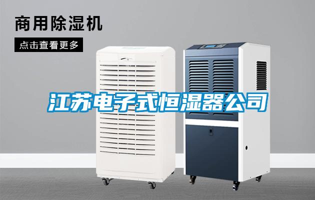 江蘇電子式恒濕器公司