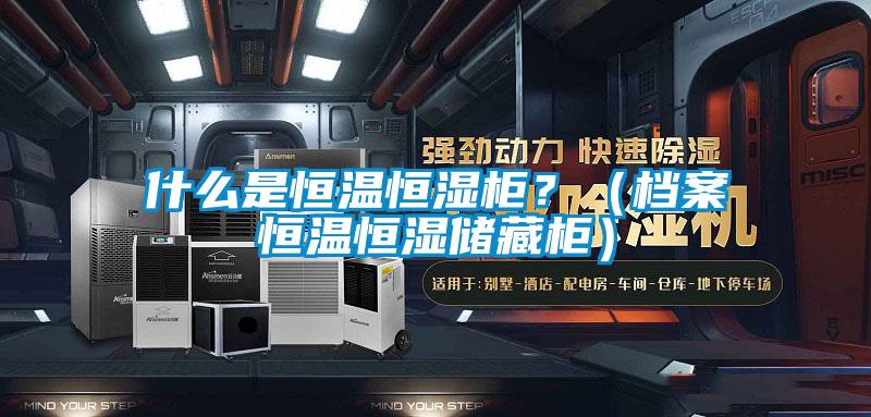 什么是恒溫恒濕柜？（檔案恒溫恒濕儲藏柜）