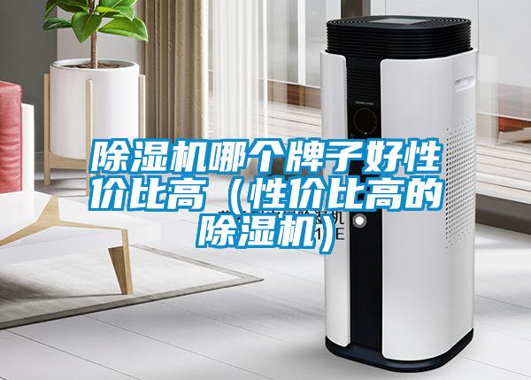 除濕機哪個(gè)牌子好性?xún)r(jià)比高（性?xún)r(jià)比高的除濕機）