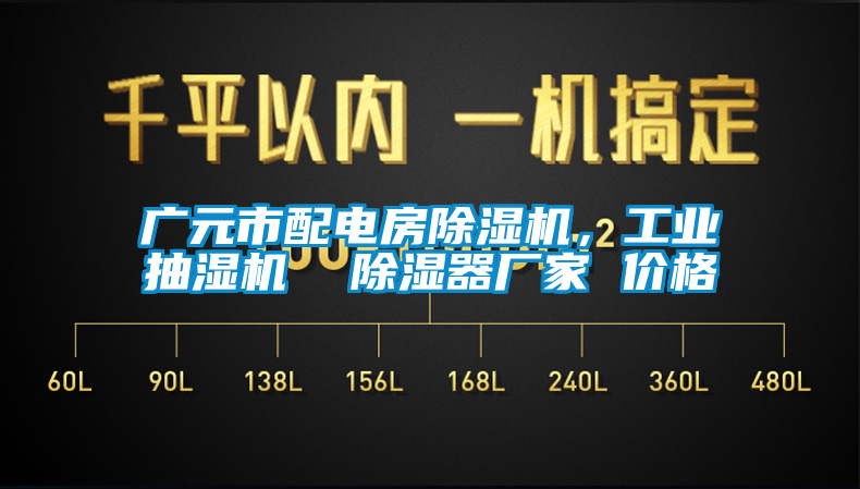 廣元市配電房除濕機，工業(yè)抽濕機  除濕器廠(chǎng)家 價(jià)格