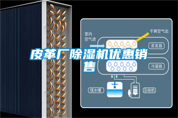 皮革廠(chǎng)除濕機優(yōu)惠銷(xiāo)售