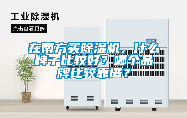 在南方買(mǎi)除濕機，什么牌子比較好？哪個(gè)品牌比較靠譜？