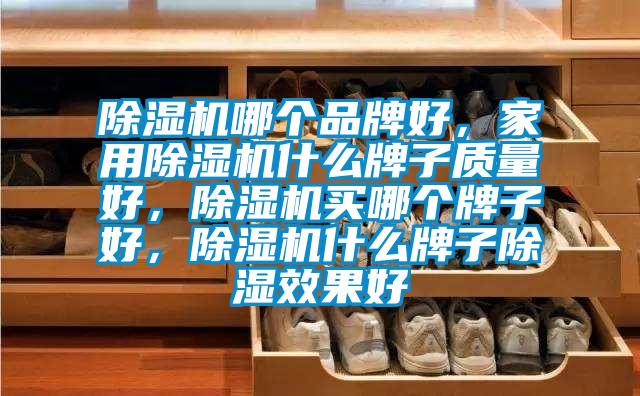 除濕機哪個(gè)品牌好，家用除濕機什么牌子質(zhì)量好，除濕機買(mǎi)哪個(gè)牌子好，除濕機什么牌子除濕效果好