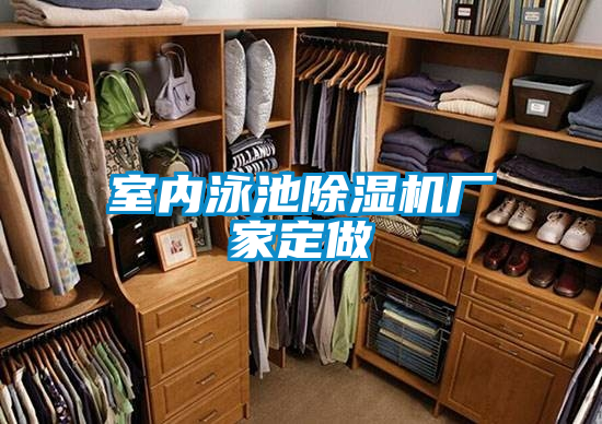 室內泳池除濕機廠(chǎng)家定做