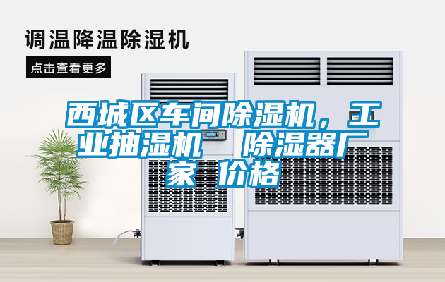 西城區車(chē)間除濕機，工業(yè)抽濕機  除濕器廠(chǎng)家 價(jià)格