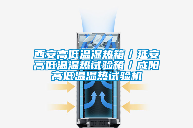 西安高低溫濕熱箱／延安高低溫濕熱試驗箱／咸陽(yáng)高低溫濕熱試驗機