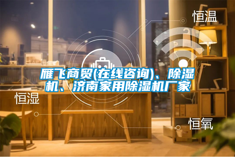 雁飛商貿(在線(xiàn)咨詢(xún))、除濕機、濟南家用除濕機廠(chǎng)家