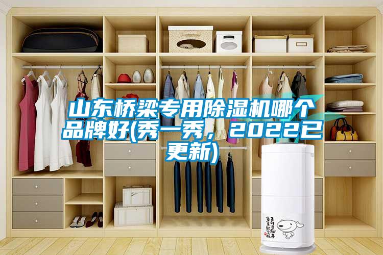 山東橋梁專(zhuān)用除濕機哪個(gè)品牌好(秀一秀，2022已更新)