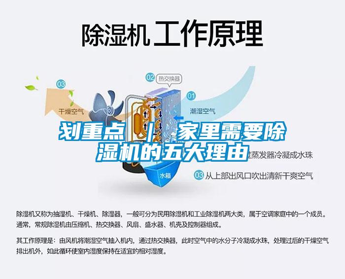 劃重點(diǎn) ｜ 家里需要除濕機的五大理由