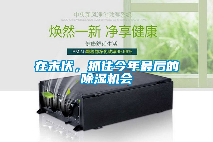 在末伏，抓住今年最后的除濕機會(huì )