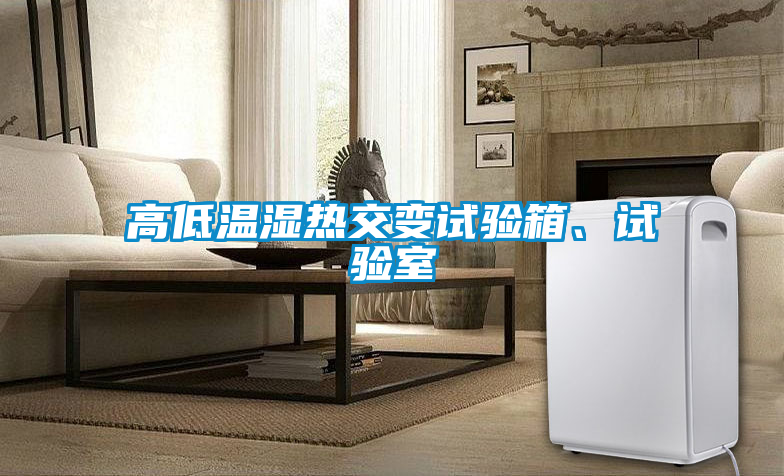 高低溫濕熱交變試驗箱、試驗室