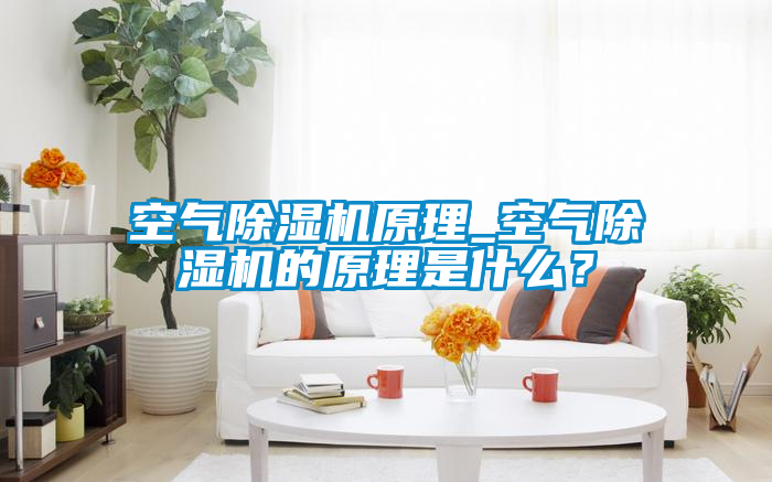 空氣除濕機原理_空氣除濕機的原理是什么？