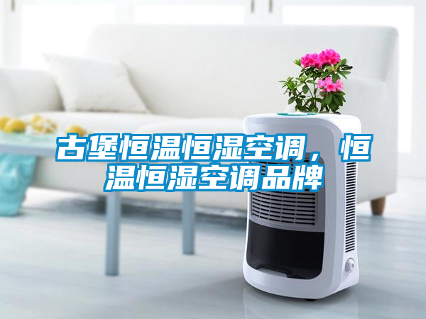 古堡恒溫恒濕空調，恒溫恒濕空調品牌