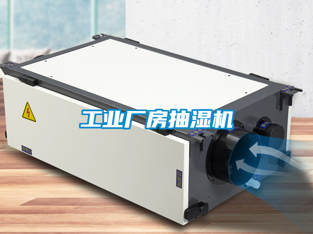 工業(yè)廠(chǎng)房抽濕機