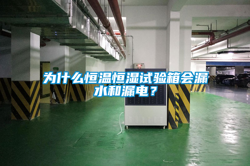 為什么恒溫恒濕試驗箱會(huì )漏水和漏電？