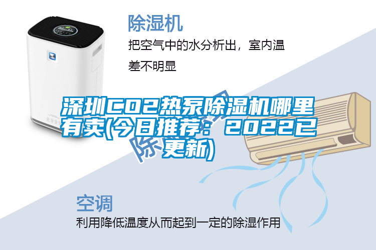 深圳CO2熱泵除濕機哪里有賣(今日推薦：2022已更新)