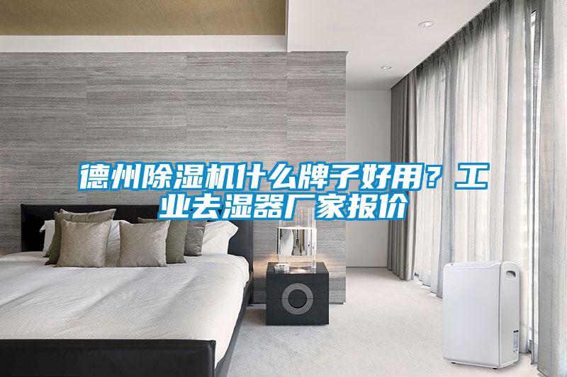德州除濕機什么牌子好用？工業(yè)去濕器廠(chǎng)家報價(jià)