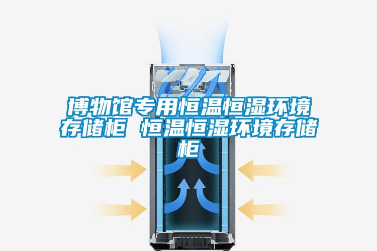 博物館專(zhuān)用恒溫恒濕環(huán)境存儲柜 恒溫恒濕環(huán)境存儲柜