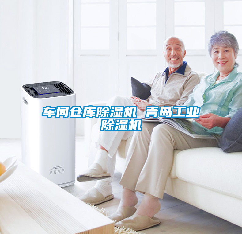 車(chē)間倉庫除濕機 青島工業(yè)除濕機