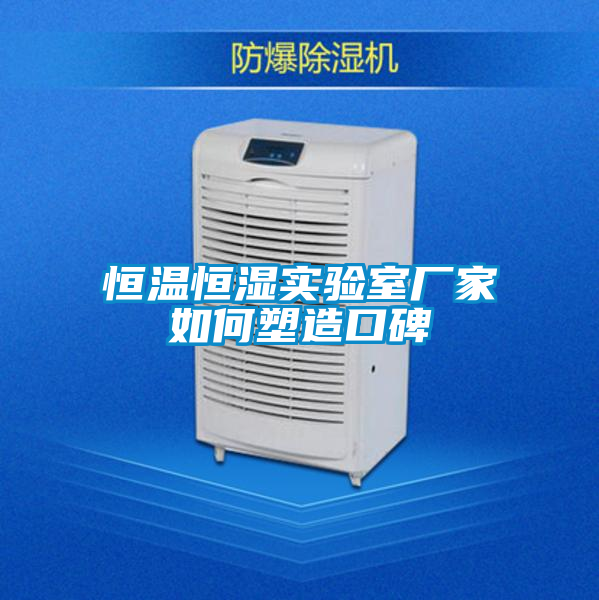 恒溫恒濕實(shí)驗室廠(chǎng)家如何塑造口碑