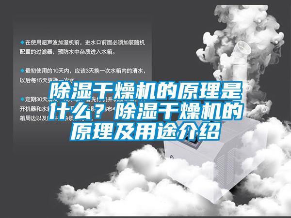 除濕干燥機的原理是什么？除濕干燥機的原理及用途介紹