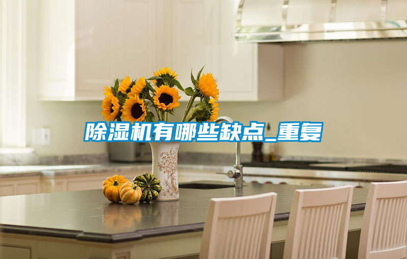 除濕機有哪些缺點(diǎn)_重復