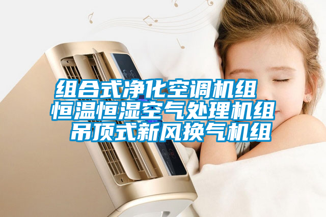 組合式凈化空調機組 恒溫恒濕空氣處理機組 吊頂式新風(fēng)換氣機組