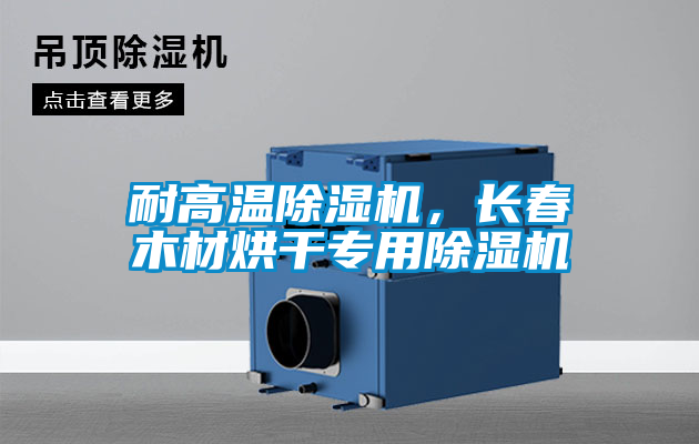 耐高溫除濕機，長(cháng)春木材烘干專(zhuān)用除濕機