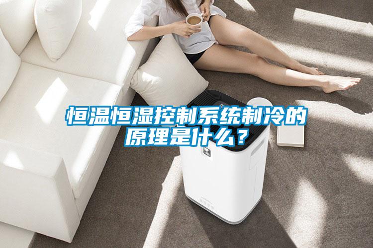 恒溫恒濕控制系統制冷的原理是什么？