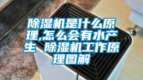 除濕機是什么原理,怎么會(huì )有水產(chǎn)生 除濕機工作原理圖解