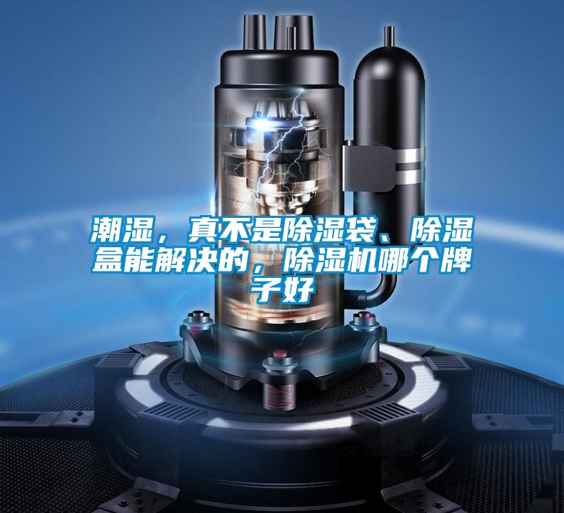 潮濕，真不是除濕袋、除濕盒能解決的，除濕機哪個(gè)牌子好