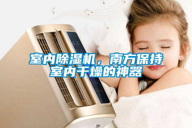 室內除濕機，南方保持室內干燥的神器
