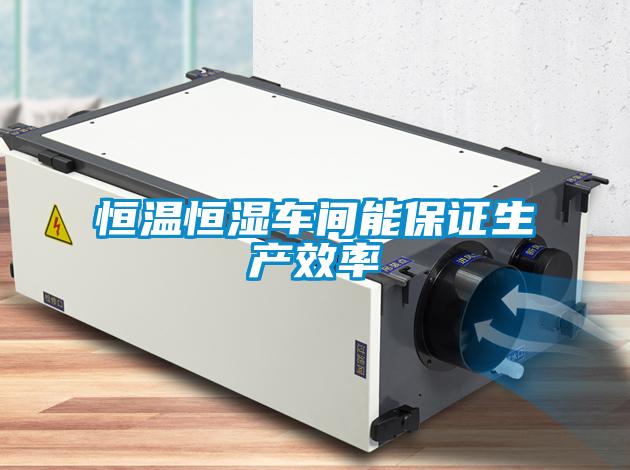 恒溫恒濕車(chē)間能保證生產(chǎn)效率