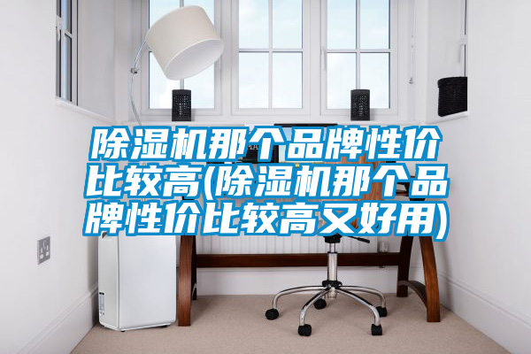 除濕機那個(gè)品牌性?xún)r(jià)比較高(除濕機那個(gè)品牌性?xún)r(jià)比較高又好用)