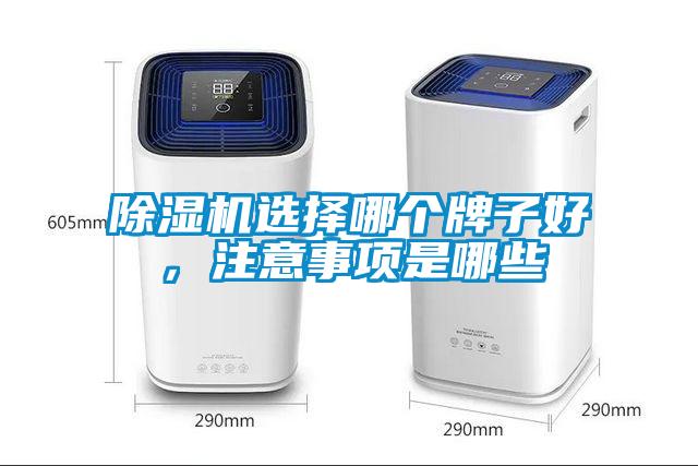 除濕機選擇哪個(gè)牌子好，注意事項是哪些