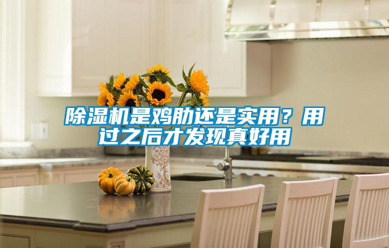 除濕機是雞肋還是實(shí)用？用過(guò)之后才發(fā)現真好用