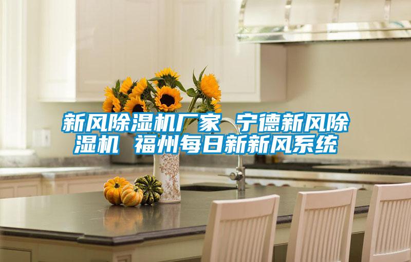 新風(fēng)除濕機廠(chǎng)家 寧德新風(fēng)除濕機 福州每日新新風(fēng)系統