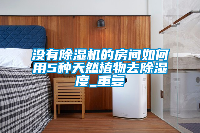 沒(méi)有除濕機的房間如何用5種天然植物去除濕度_重復