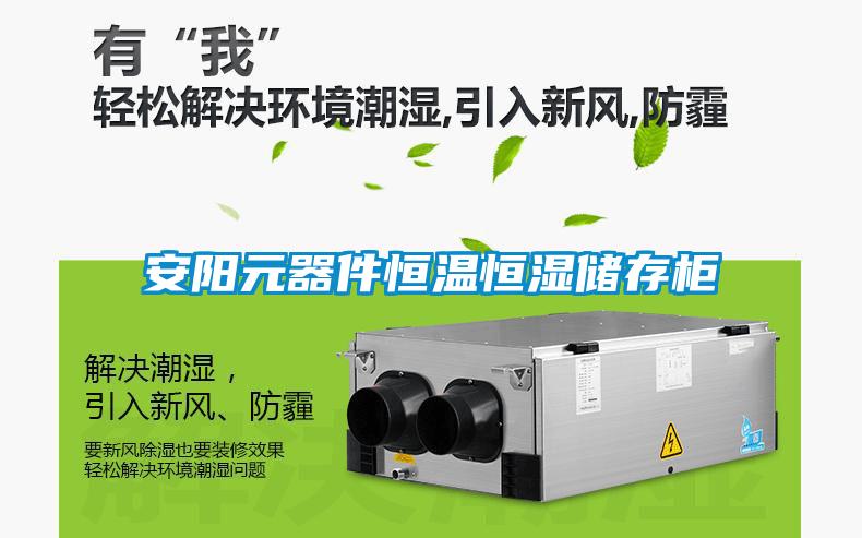 安陽(yáng)元器件恒溫恒濕儲存柜