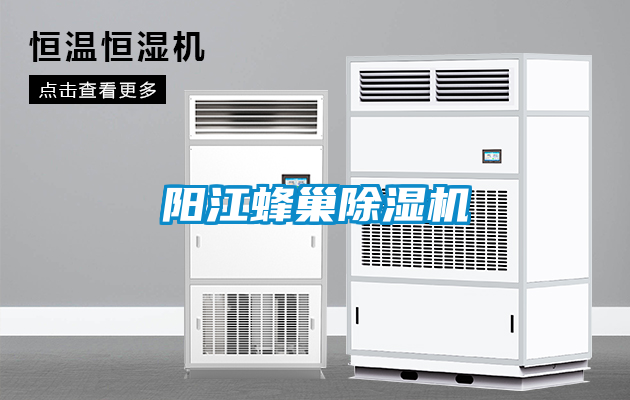 陽(yáng)江蜂巢除濕機